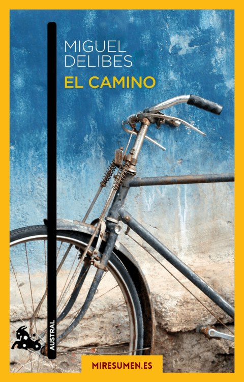 Resumen del libro del Camino